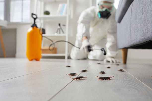 Trusted Rodent Control service in Woodsboro, MD - Nex Pest Control