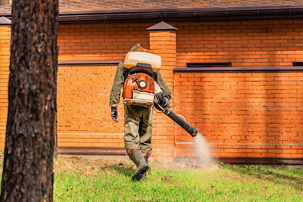 Trusted Cockroach Control service in Woodsboro, MD - Nex Pest Control